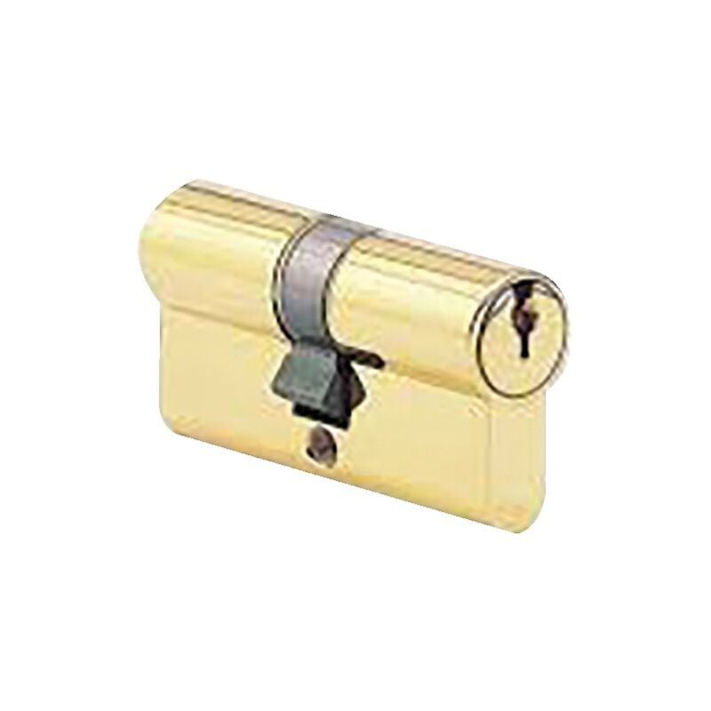 Cylindre à double entrée 30X40mm laiton poli - cisa - 831012-01-0A