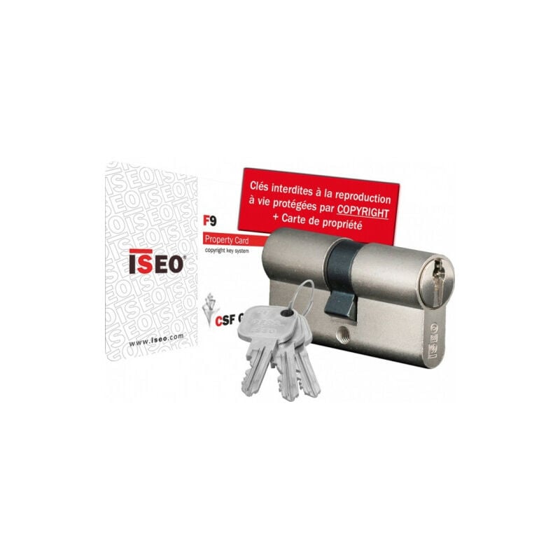 Cylindre double entrée iseo F9 Argent n/a 50 mm 40 mm Nickelé Cylindre double entrée