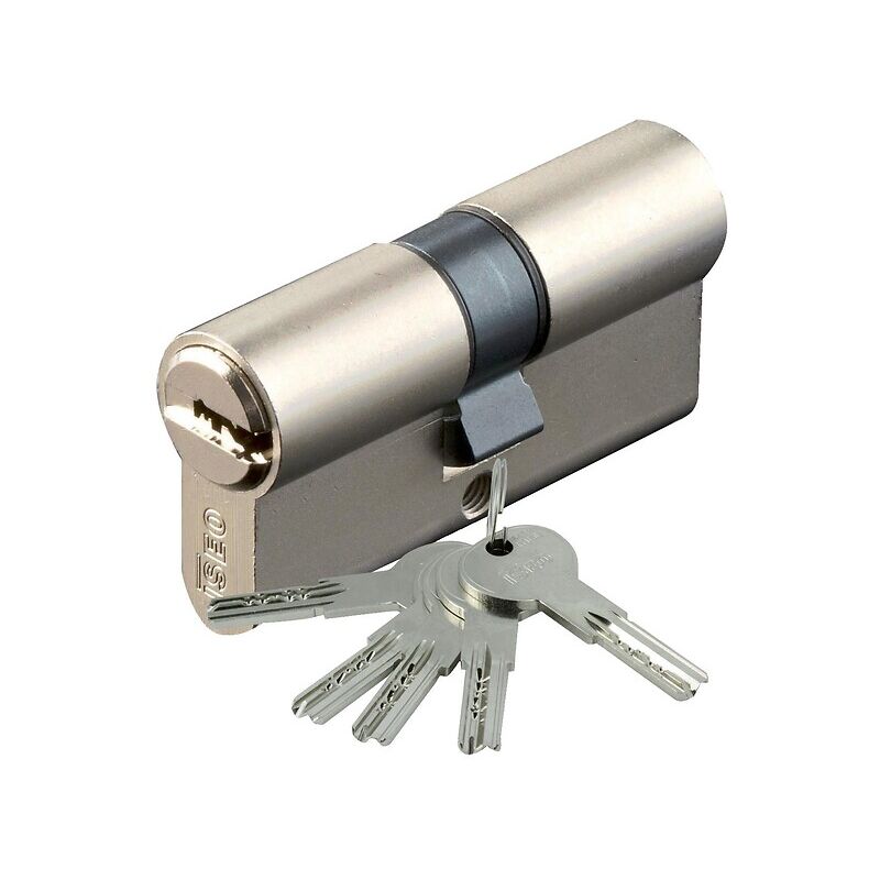Cylindre double isr 6 laiton nickelé 5 clés sur n° agl 697 30 x 40 Iseo City