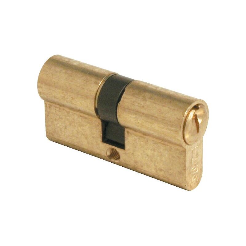 Cylindre double type TE5 en 30 x 100 mm laiton nickelé 3 clés Tesa Securité