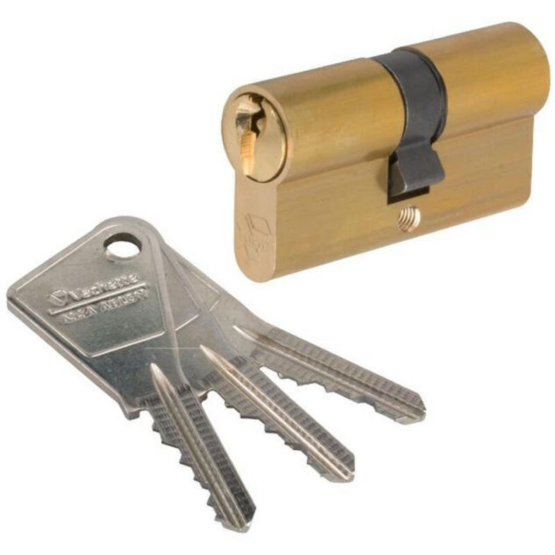 Vachette Assa Abloy 7100 Cilindro Doppio In Ottone 40x40 17158000 C...