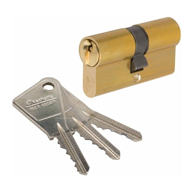 Cylindre 2 entrées varié laitonné - 40 x 30 mm - V5 Vachette