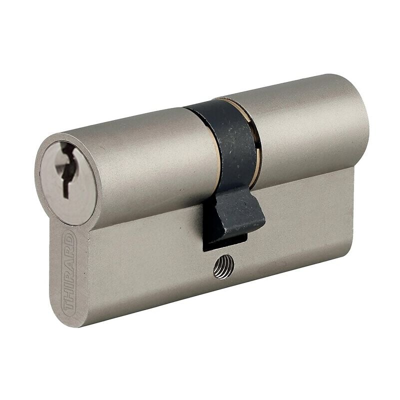 Cylindre double varié HG5 sur pg pour locaux non sensibles fintion nickelé 3 clés 30 x 30 Thirard
