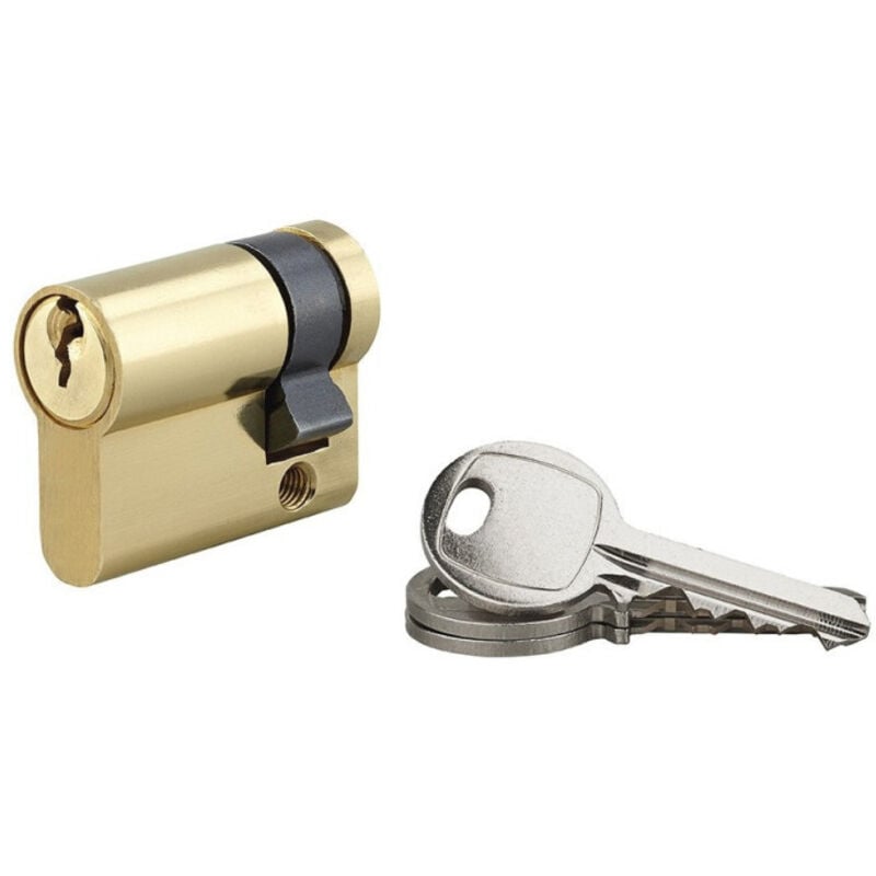 Cylindre à double entrée edf-r 30X30 sans clé - beaurain distribution - RIFEP230302CL