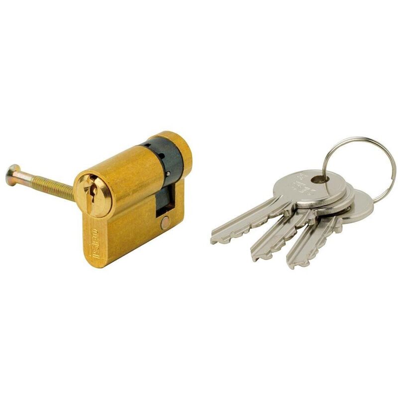 Iseo F5 Cylindre Européen 30x10 Laiton Came Longue