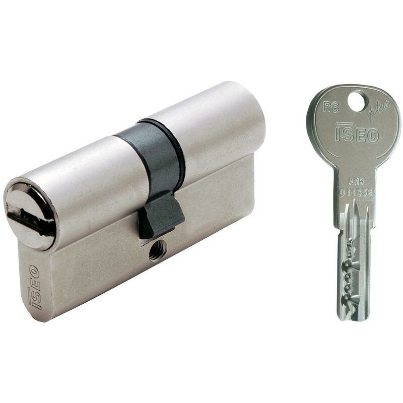 Cylindre iseo double profil R6 plus avec cle plate a 6 pins 30-50 mm 82R60 9C5