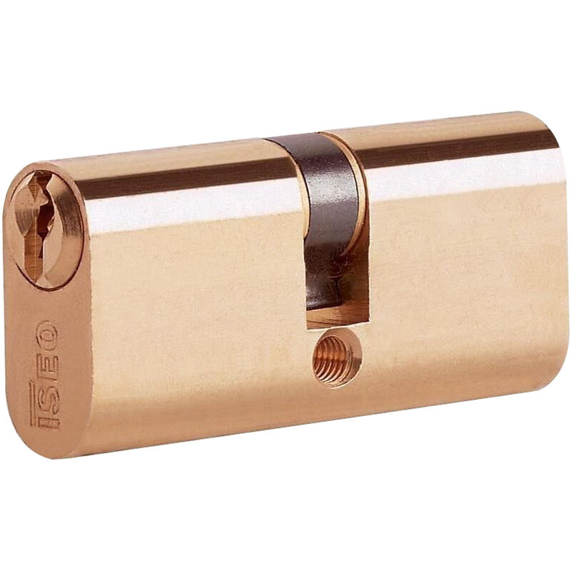 Cylindre ovale iseo 54 mm pour serrure profil A.83002727H