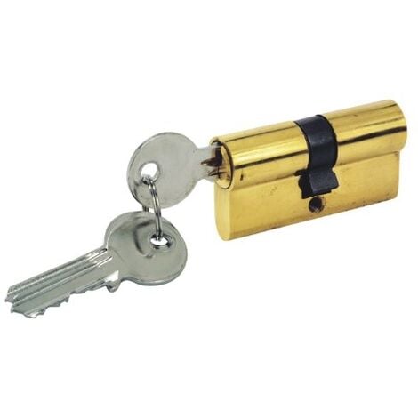 CYLINDRE PORTE + 3 CLES 60MM COGEX 80684