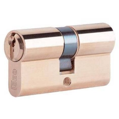 CYLINDRE PROFILÉ 8209 ISEO