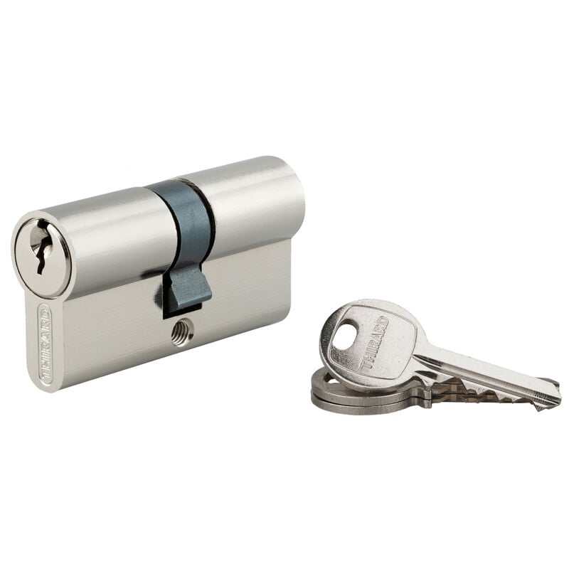 Cylindre de serrure double entrée sa unikey (achetez-en plusieurs, ouvrez avec la même clé), 30x30mm, 3 clés, nickelé