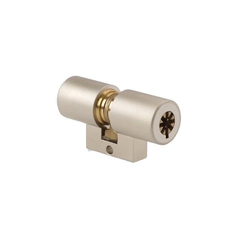 Cylindre monobloc FONTAINE 40X40mm à 5 ailettes saillant - POLLUX - 950544