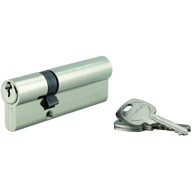 Cylindre std double entrée, 35 x 65 mm anti-arrachement, nickelé, 3 clés