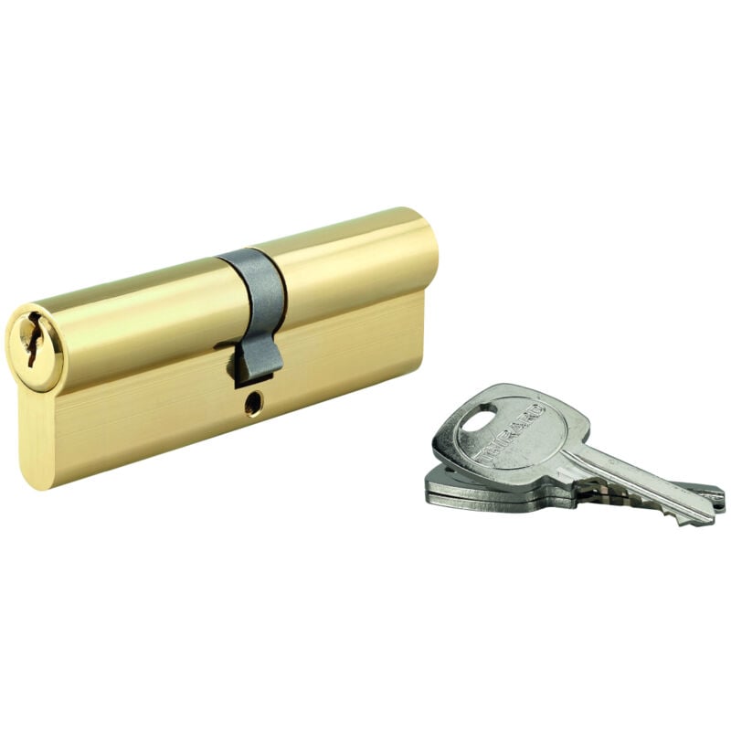 Thirard - Cylindre std double entrée, 50x 60 mm anti-arrachement, laiton, 3 clés