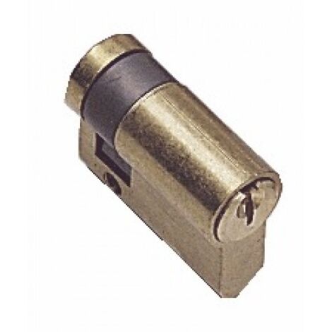 Cylindre TE5 30 x 10 indexable. laiton poli. varié - TESA SA
