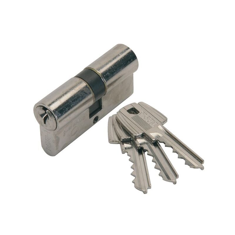 Cylindre TE5 à panneton réduit pm 2 laiton nickelé Tesa Securité