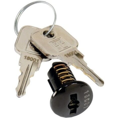 Cylindres interchangeables Z23A Ø18 variés - varriure 18002 - LEHMANN VERTRIEBSGES