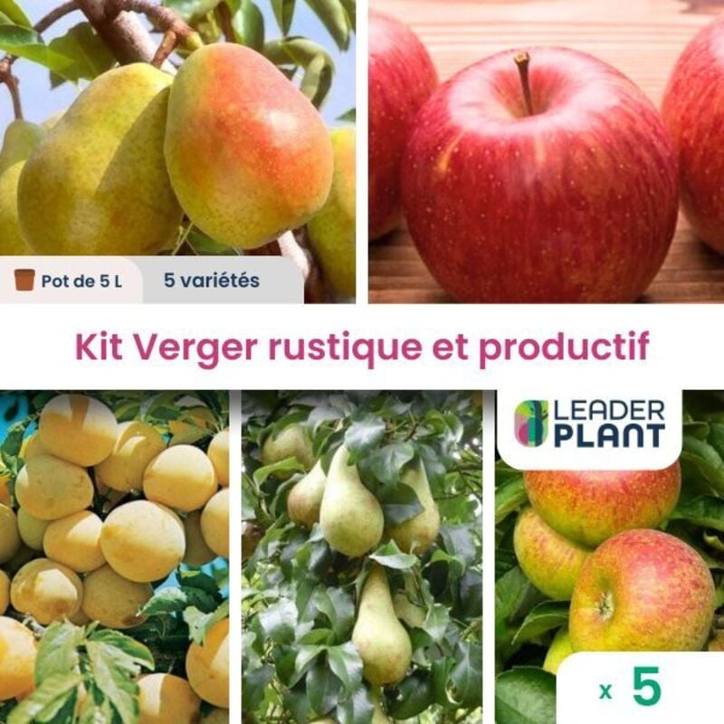 Leaderplant.com - Kit Mon premier Verger - 5 Variétés - Lot de 5 pots de 2 l