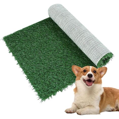 d Pipi pour Chiens Chiots artificiels Aide l entra nement
