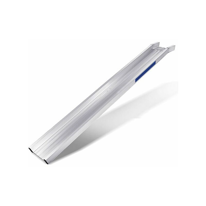 Lunghezza di rampa 2.50m - altezza raggiungibile 660mm - Portata max a coppia per un mezzo con passo 1500mm:1000kg - Prezzo unitario - A25/08