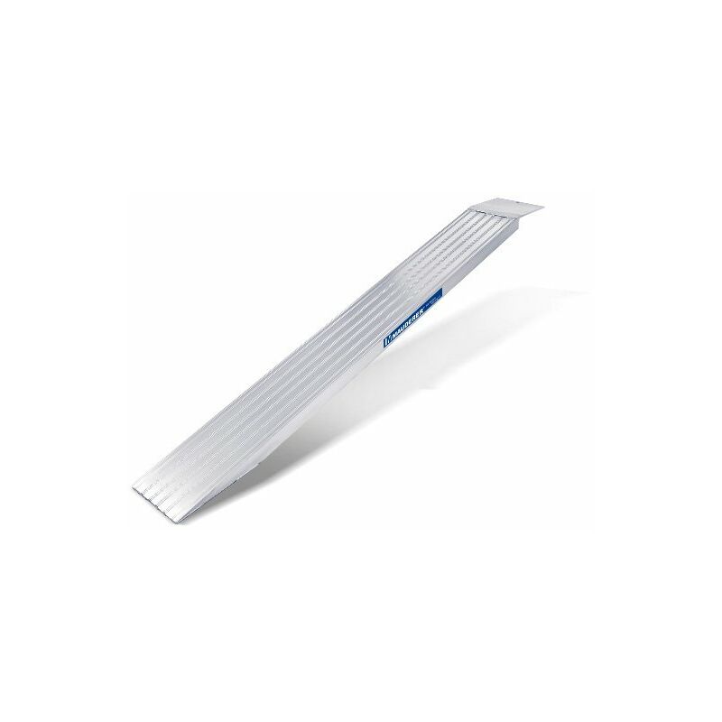 Rampe de chargement - Largeur 250mm - Charge max 2200kg pour empattement 1500mm - Hauteur à franchir de 210mm - Prix Unitaire - CO10/20