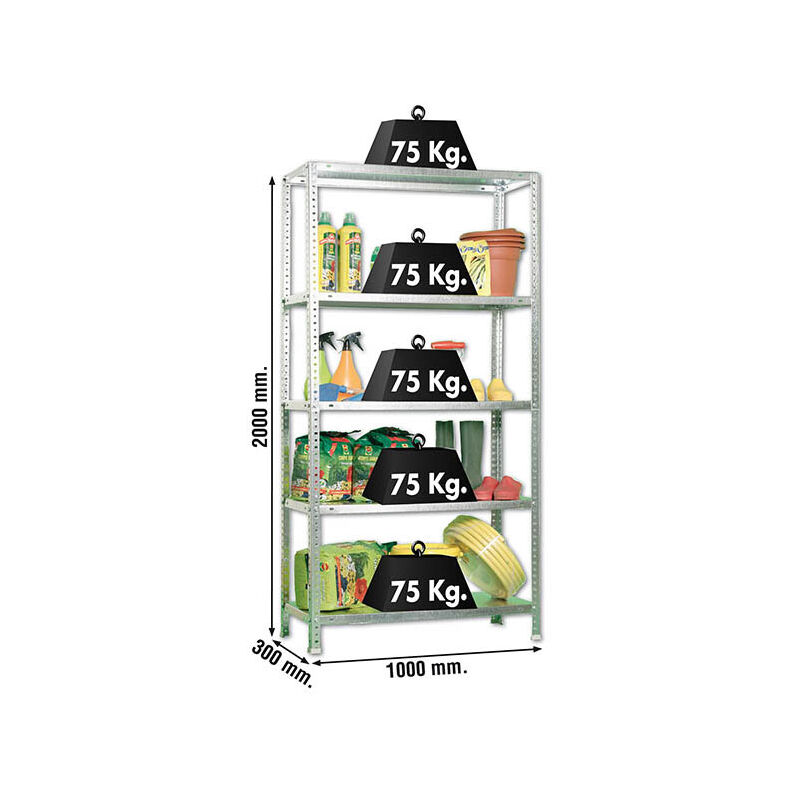 Etagère légère métallique avec vis ADVANTAGE PLUS 5/300 GALVA - 2000x1000x300 75Kg - SIMONRACK