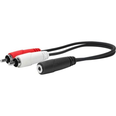 Da 3,5 mm femmina a rca maschio