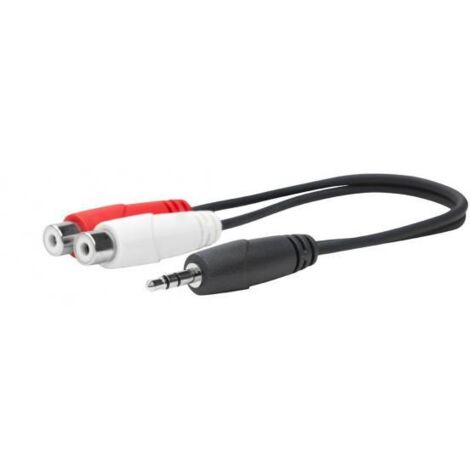 Da 3,5 mm maschio a rca femmina