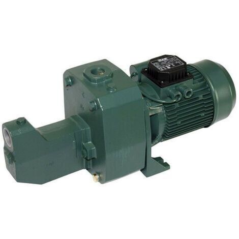 DAB – Pompe de surface autoamorçante 1,1 kW – Débit 0,9 à 4,2 m3/h – Monophasé 220V – Hauteur d'aspiration max 8m