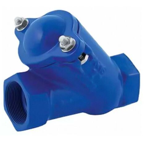 Dab Pumps Valvola di ritegno a palla 2" filettata 60160627