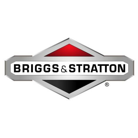 Dado motore trattorino tagliaerba ORIGINALE BRIGGS & STRATTON 015X79MA