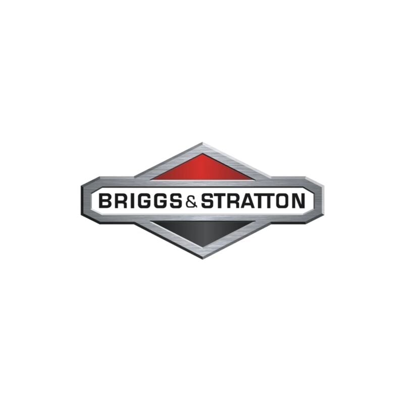 Briggs&stratton - Dado regolatore originale motore rasaerba tagliaerba tosaerba