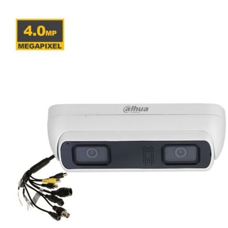 Dahua Telacamera Dome IP 4Mp WizMind IR20M - IPC-HDW8441X-3D (2 x 2.0mm) S