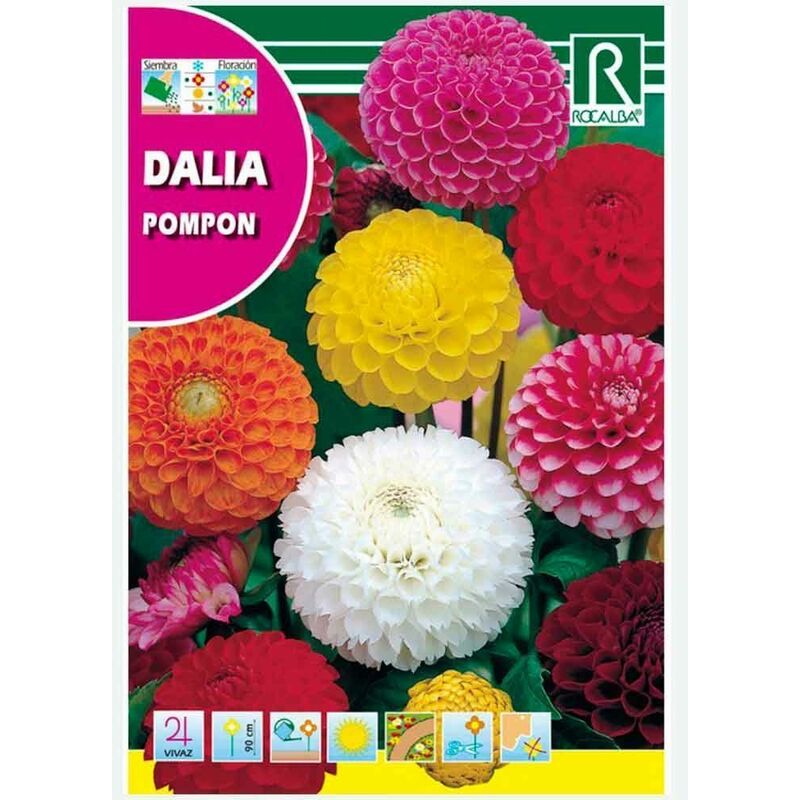 

Dalia Pompon Doble Variada - Sobre De Semillas 2G