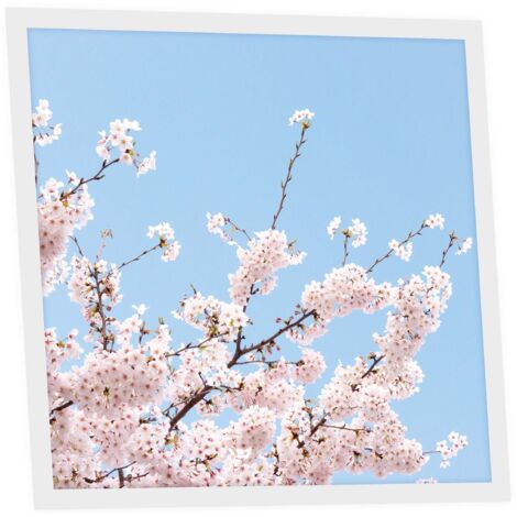 Dalle LED Imprimée 60x60 cm - Motif Fleurs de Ciel - Lumière Blanc Neutre 4000K - Panneau Lumineux pour Plafond Bureau Salon Cuisine - Facile à Installer