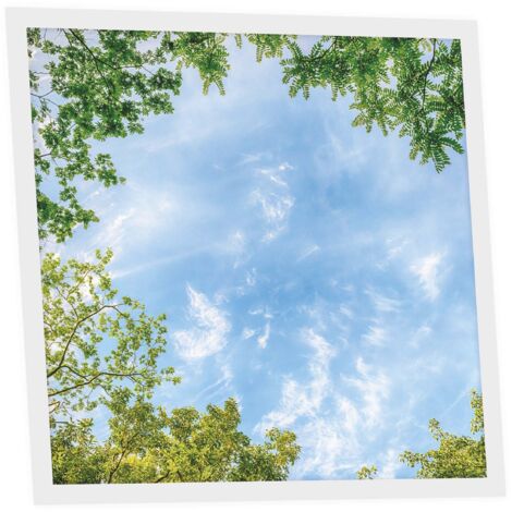 Dalle LED Imprimée 60x60 cm - Motif Horizon Arboré - Lumière Blanc Neutre 4000K - Panneau Lumineux pour Plafond Bureau Salon Cuisine - Facile à Installer