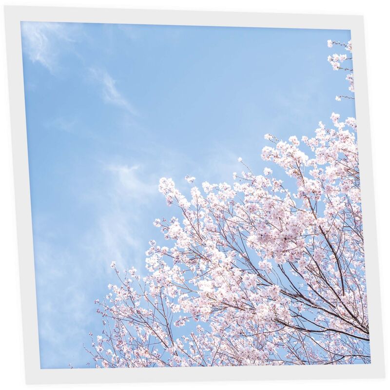 Dalle LED Imprimée 60x60 cm - Motif Nuances Roses - Lumière Blanc Neutre 4000K - Panneau Lumineux pour Plafond Bureau Salon Cuisine - Facile à