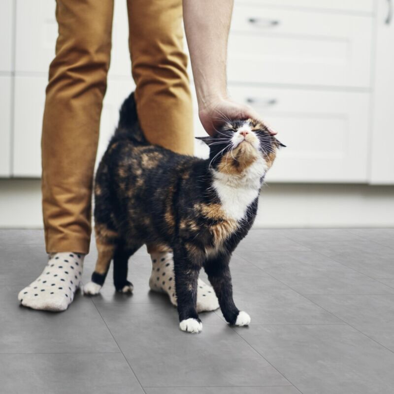 Dalle de sol pvc clipsable effet béton manhattan clear Gerflor 1.98 m²