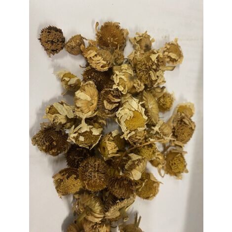 Dalmatinische Chrysanthemenblüte - Tanacetum Cinerariifolium 100 G