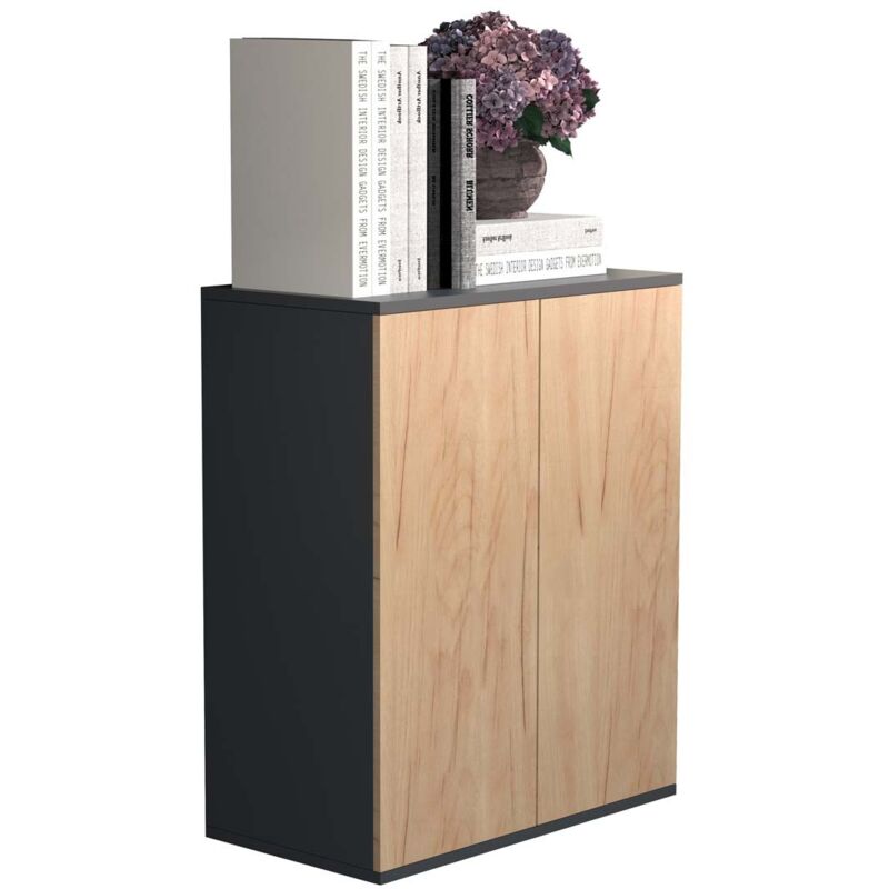 Ebuy24 - Commode et sideboard Dalosa h. 73 x l. 60 x p. 32 cm Anthrazit / Honig-Eiche