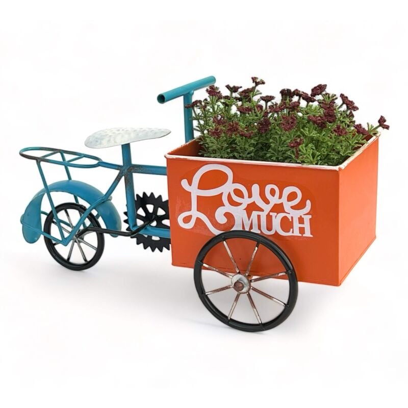 Vélo à fleurs pour jardin en métal, vélo debout bleu et orange 96530, vélo de décoration pour plantes, support à fleurs. - Dandibo