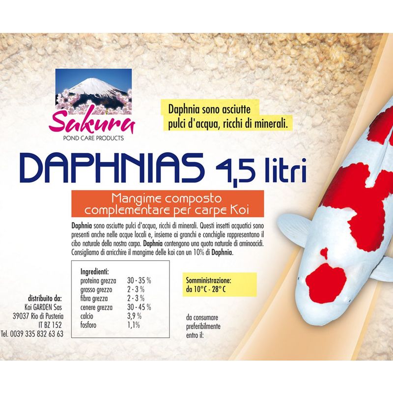 Image of Daphnia - pulci d'acqua 4,5 litri mangime per Koi, pesci rossi