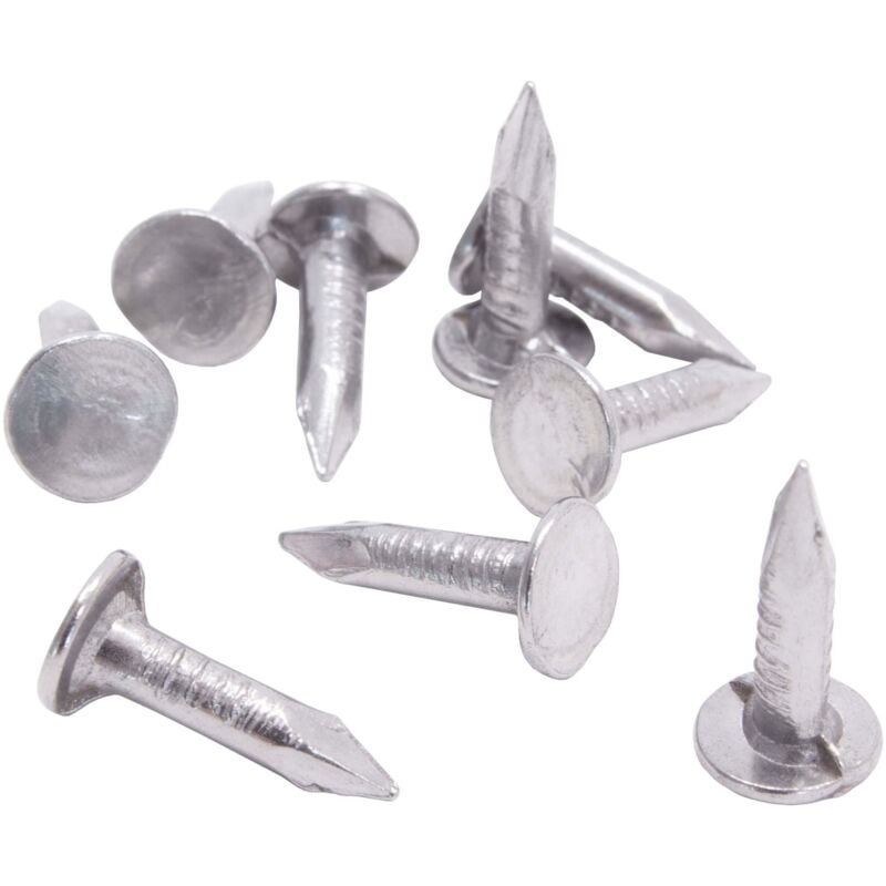 Daprona - Clous de feutre de toiture, pour bardeau bitumé argenté - 20mm 2,5kg