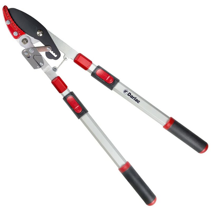 Heavy Duty Telescopic Ratchet Loppers Garden Tree Pruner Long Reach DP974 - Darlac