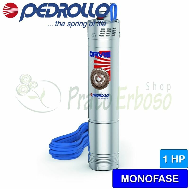 

Pedrollo - DAVIS (20m) - sumergible de la Bomba eléctrica de una sola fase con el impulsor del dispositivo,