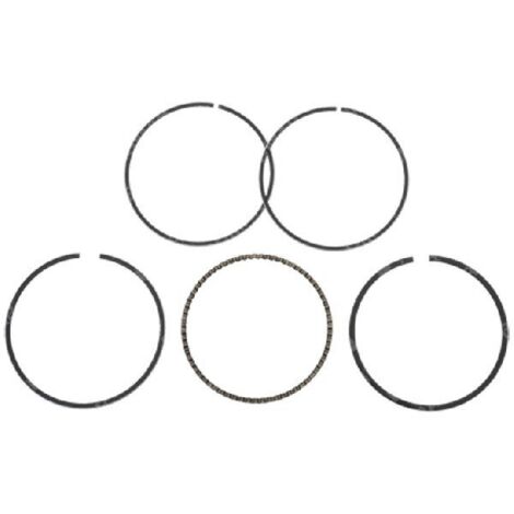 Daye-Segment-Kit – Dayee 56 mm – 037901