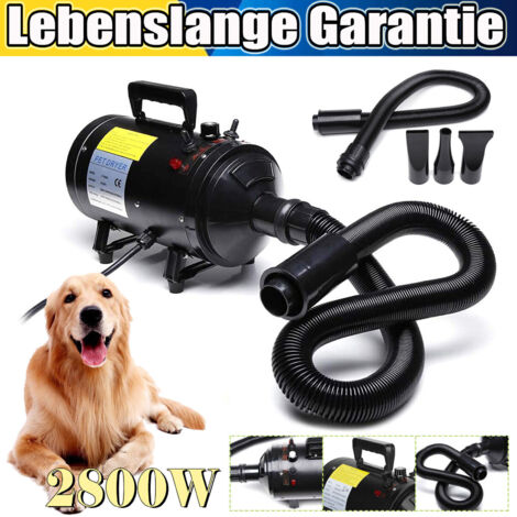 Dayplus – Séchoir pulseur pour chien 2000W-2800W – Débit d'air élevé 100m/s – Silencieux pour toilettage – Accessoires inclus