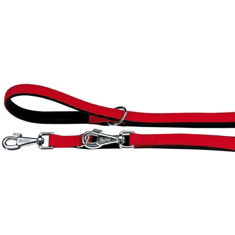 Ferplast - daytona ga Laisse en nylon pour le dressage des chiens. Différentes couleurs, 2 tailles.. Variante GA20/200 - Misure: 20 mm x l 200 cm