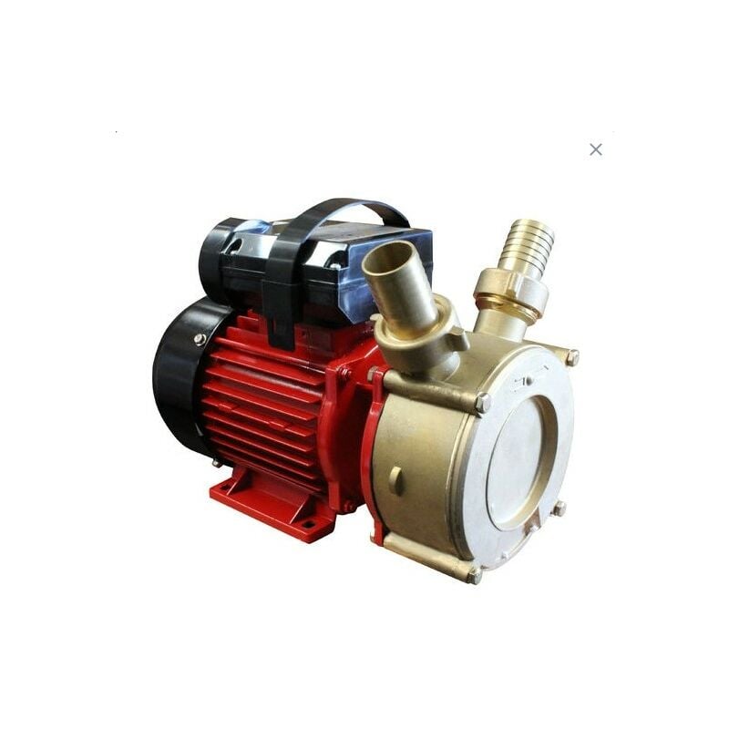 Débit de la pompe de transfert 65L/min Bricoferr