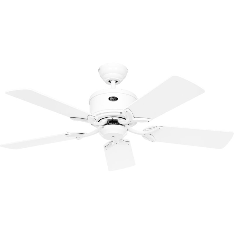 Dc Ceiling Fan Eco Elements 103 White with Remote