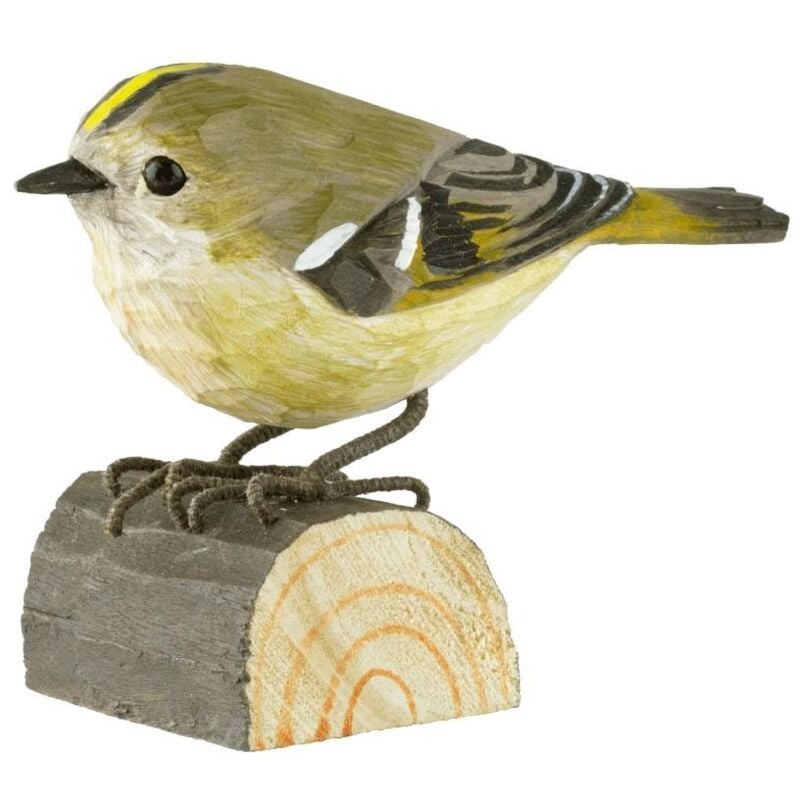 Décobird Roitelet huppé